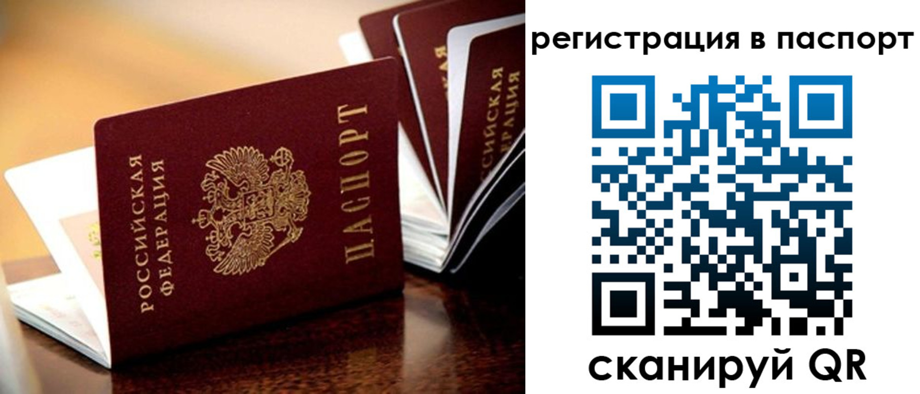 временная регистрация недорого в Фрязино